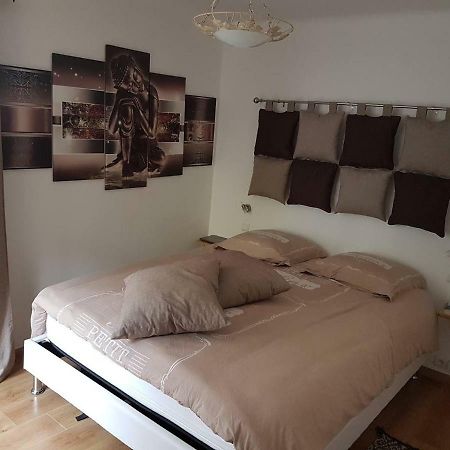 23 Rue Jean Amade Διαμέρισμα Céret Εξωτερικό φωτογραφία