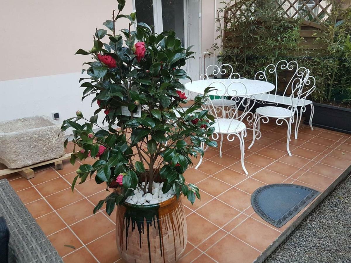 23 Rue Jean Amade Διαμέρισμα Céret Εξωτερικό φωτογραφία