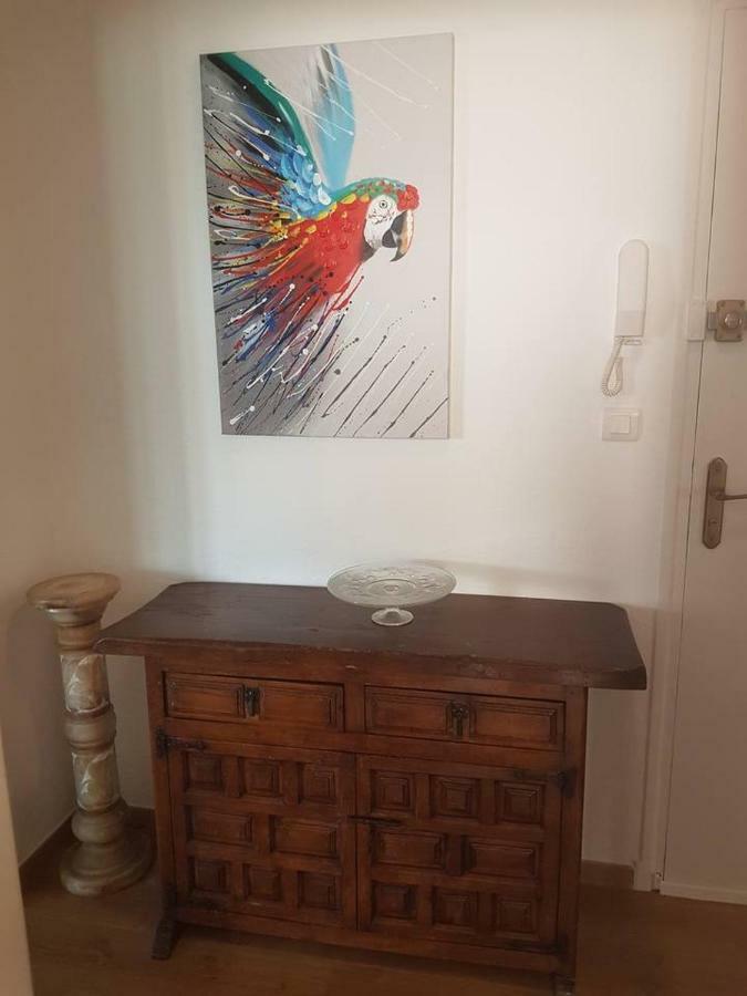 23 Rue Jean Amade Διαμέρισμα Céret Εξωτερικό φωτογραφία